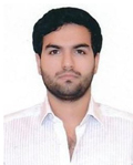 MR. PALLON SHAPOORJI MISTRY